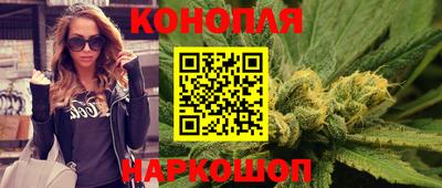 гашик Ливны