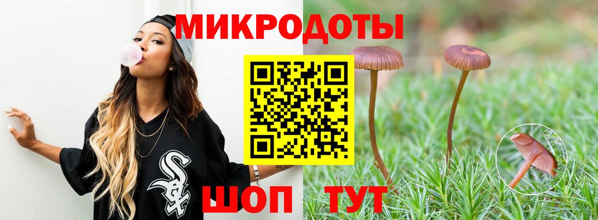 Галлюциногенные грибы мухоморы Жуковский